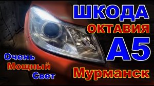Мурманск: Шкода Октавия А5 - Установили 3х Чиповые BiLED. Свет - Пушка!!!