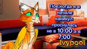 Я и моя жиза