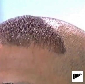 💎  https://kamennyi-zver.ru  💎✅