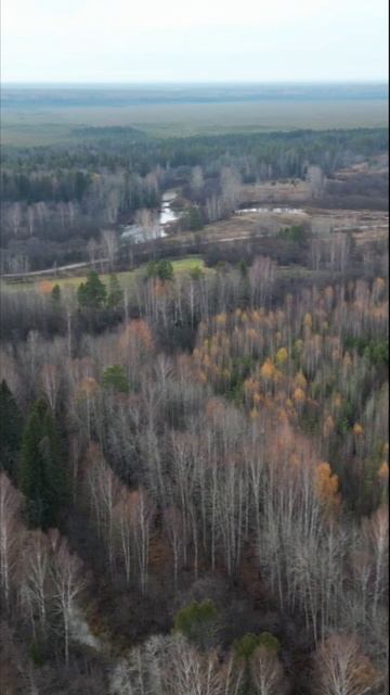 Не перестаю удивляться