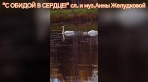 " С ОБИДОЙ В СЕРДЦЕ!"( сл. и муз.Анны Желудковой).mp4