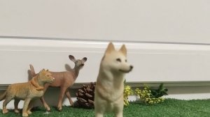 обзор на собаку