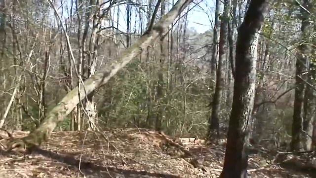 Запись 82 смотреть онлайн