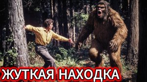 40 лет… Вы только вдумайтесь в эту цифру. Ровно 40 лет лагерь «Сосновый бор» хранил страшную тайну.