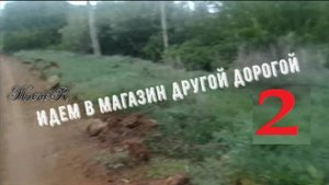 Идём в магазин другой дорогой 2