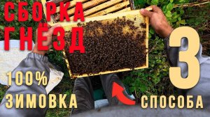 Как собрать ПЧЁЛ в зиму. Формируем гнездо для 100% зимовки