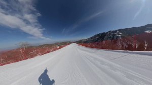 Один как VIP курорт Лесная Сказка Алматы