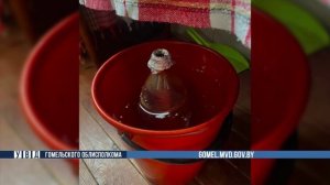 Организовал «бизнес» на марихуане