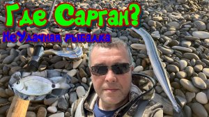 Попытка поймать Саргана