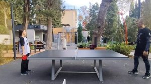 2 партия 3.11.25г. г.Алупка сквер Солнечный