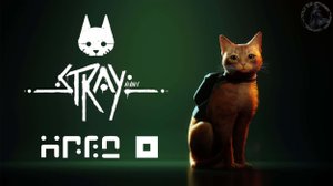 Stray. Мидтаун (часть 8)