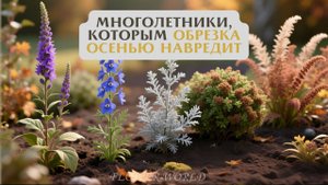 Многолетники, Которым Обрезка Осенью Навредит.🧐