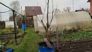 Обзор моего участка коец октября начало ноября.