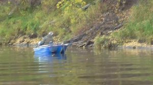 2025_Сосьва, Романово, сентябрь 2025