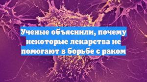 Ученые объяснили, почему некоторые лекарства не помогают в борьбе с раком