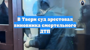 В Твери суд арестовал виновника смертельного ДТП