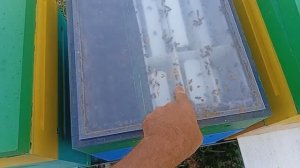 Удивительно но факт