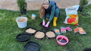 Высаживаем тюльпаны осенью в кашпо 🌷🔥