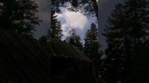 Поход в Таёжку, собираем шишку, идём в баню, сидим на солнце.