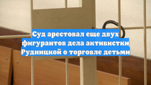 Суд арестовал еще двух фигурантов дела активистки Рудницкой о торговле детьми