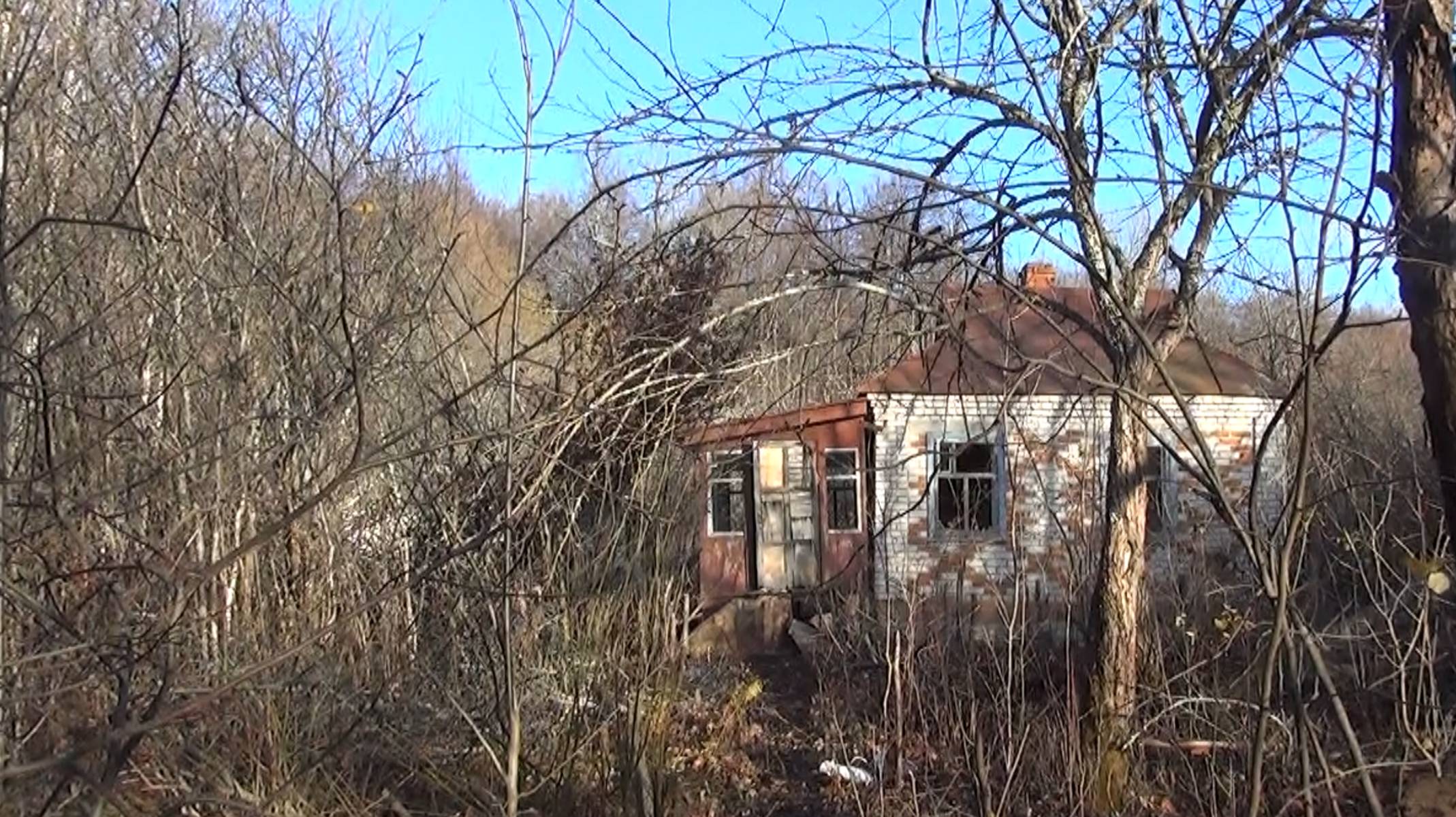 Возрождение забытой усадьбы: мечта или реальность?