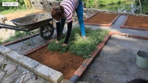 София 44. София стелет зеленый газон перед домом в горе. Перезалив.