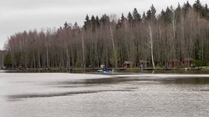 Запуск форели