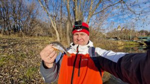 Экскурсионно-рыболовно-спортивный тур в Ярославль 2025 г.