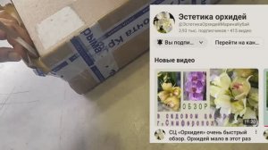 Очень волнительная посылка. Застряла на почте. Презентик от @ЭстетикаОрхидейМаринаКубай