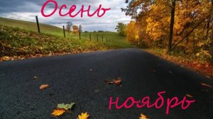 6 соток. 2 ноября 2025 г.  Ноябрь это уже сон земли