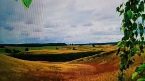 Земля родная, помни...