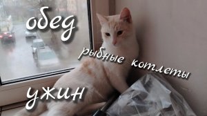 Обед//ужин//рыбные котлеты