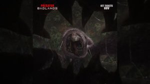 Хищник: Пустоши