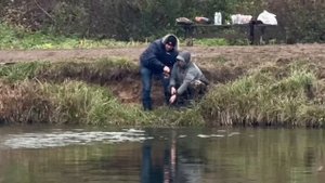 Поимки продолжаются