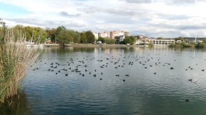 Посмотрите. какая красота. Горячий ключ. Красивое озеро.  Музыка Испол. Саксофон - Мелодия из к ф _Д