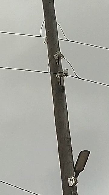 Этот электрик настоящий дятел смотреть онлайн