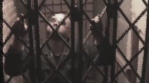 BÁNDIT PSÀLMS - Где Ты I РАЗБОЙНИЧЬИ ПСАЛМЫ