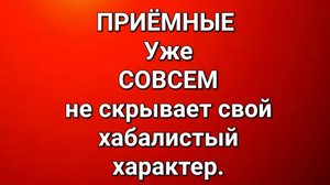 Приёмные/Обзор.