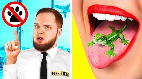 Как Пронести Домашних Животных в Самолёт | Смешные Cитуации от TeamTeen Challenge смотреть онлайн