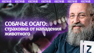 Страхование от нападения собак. Вассерман — о новом законопроекте / Открытым текстом