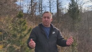 Это не просто ЧУДО - это песня