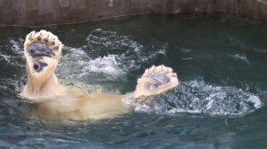 Кай и водная гимнастика..