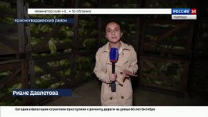 ВЕСТИ КРЫМ: выпуск 03.11.2025 17:30