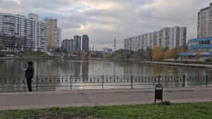 #136.Москва.Я что то засиделась,пора гулять.Дела делаются потихоньку.Кусочек Анапы.