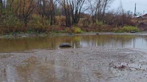 Единственная находка из озера, зато какая.
