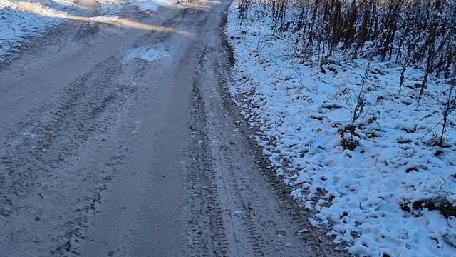 Поход по заброшке и лесу. смотреть онлайн