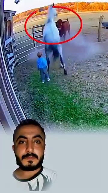 حين يكتب القدرمشهده يختار أبطاله من حيث لا نظن حتى لو كان الحصان رسول رحمة لطفل صغير смотреть онлайн