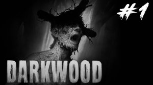 Darkwood #1 - Прохождение. Дни 1-3