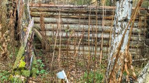 ОЧЕНЬ СЛОЖНО было ДОБРАТЬСЯ до ЭТОГО МЕСТА,но ОНО ТОГО СТОИЛО.Там не ступала нога металлиста