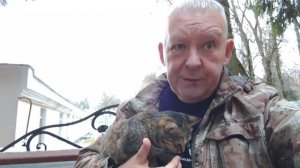 Дмитриев Дмитрий и кошаки